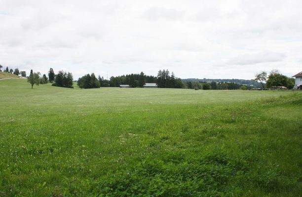 Ostseite - Grundstücksfläche