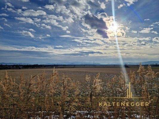 Aussicht vom Ende des Grundstücks auf die Felder