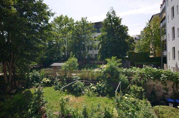Grüner Hinterhof