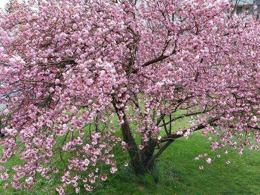 Blick aus dem Schlafzimmer1
