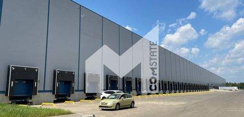 Langenfeld Halle, Langenfeld Hallenfläche