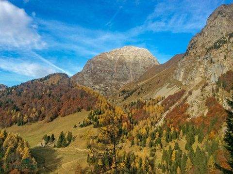 Paluzza Bauernhöfe, Landwirtschaft, Paluzza Forstwirtschaft