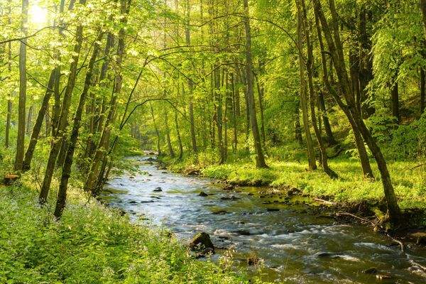 040 Olschnitztal Bad Berneck Foto