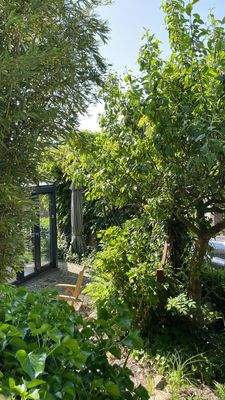 Eingewachsener Gartenbereich