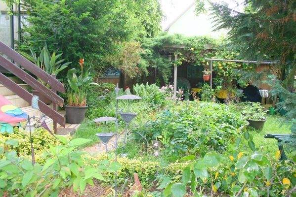 Blumengarten vor dem Winterharten