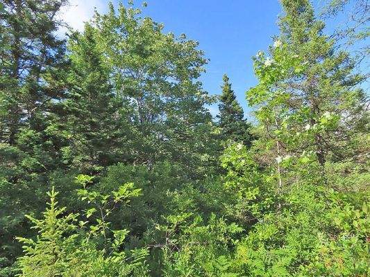 Cape Breton - Neu-Erschließung mit 7 Lots - 23 Hek