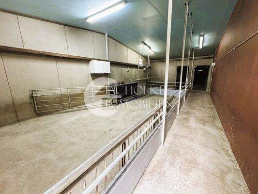 469.Betrieb.Innen.Stall (7)