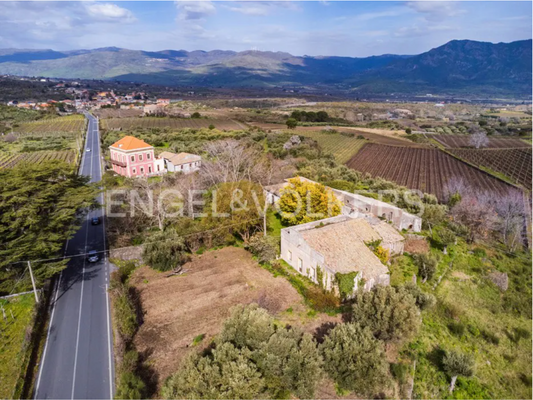 Schermata 2025-03-07 alle 12.04.51.png