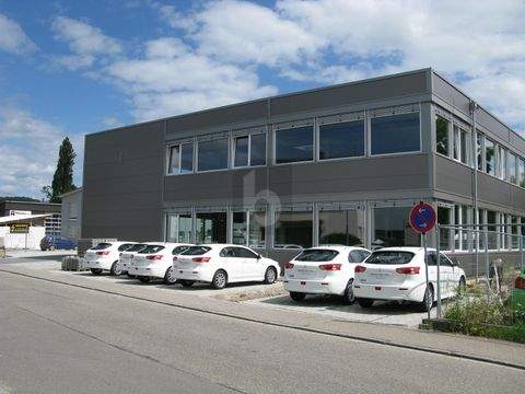 Lörrach Halle, Lörrach Hallenfläche