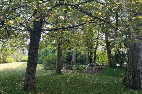 Parkanlage.jpg