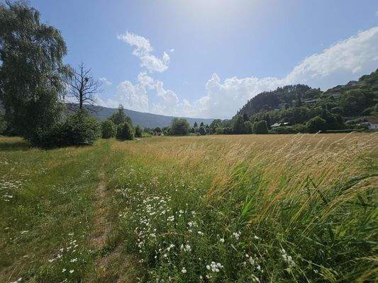 für interessante Zukunftsprojekte