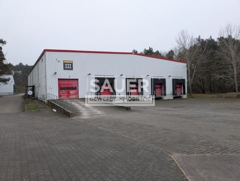 Spreenhagen Halle, Spreenhagen Hallenfläche
