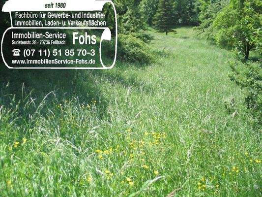 +Bad-Überk.Flur 220-4=3.245 m²Hinter dem Weiler 11