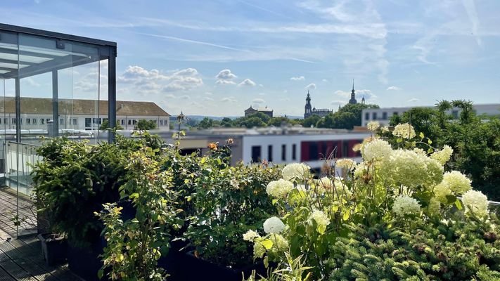 Blick von der Dachterrasse