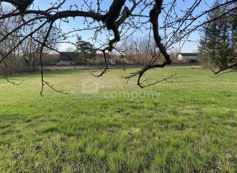 Winzendorf Grundstücke, Winzendorf Grundstück kaufen