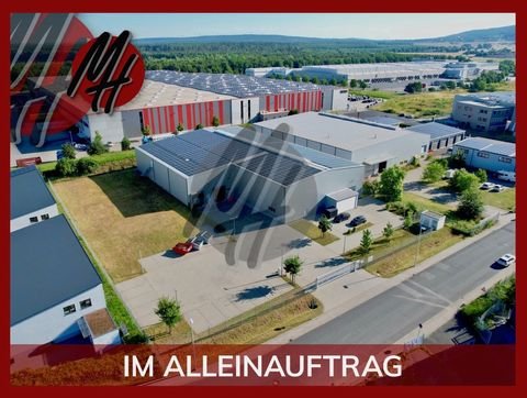 Alzenau Halle, Alzenau Hallenfläche