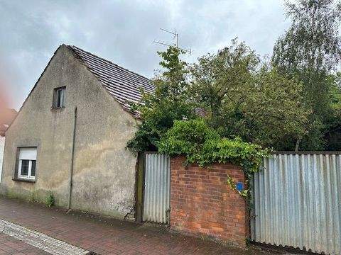 Jessen (Elster) Häuser, Jessen (Elster) Haus kaufen