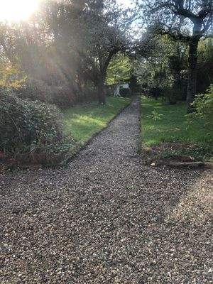 Flurstück 35 ohne Blätter