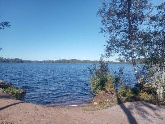 Go for a swim 35 meters away from plot 1;57 .JPG