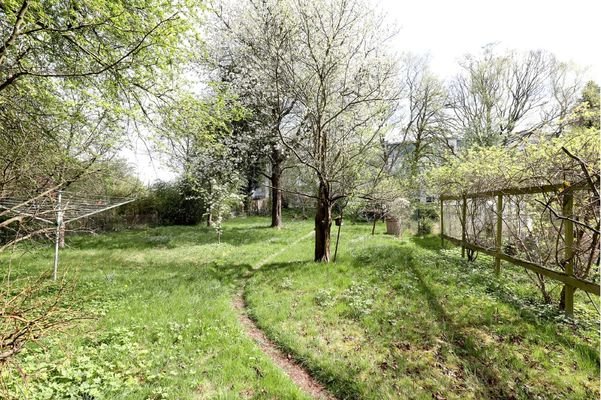 Eigene Obstwiese