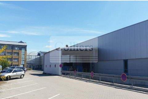 Bremen Halle, Bremen Hallenfläche