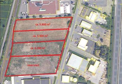 Bindlach Industrieflächen, Lagerflächen, Produktionshalle, Serviceflächen