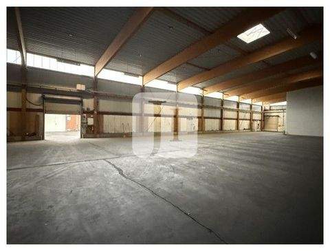 Geesthacht Halle, Geesthacht Hallenfläche