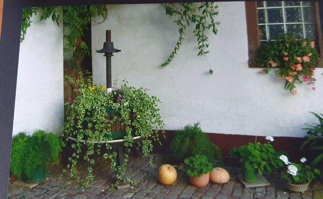 Impressionen Innenhof