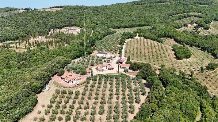 Grundstück 85 ha Agrarvilla