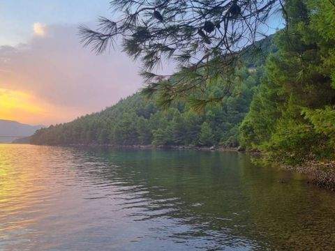 Trpanj Bauernhöfe, Landwirtschaft, Trpanj Forstwirtschaft