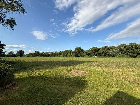 Bick aufs angrenzende Feld