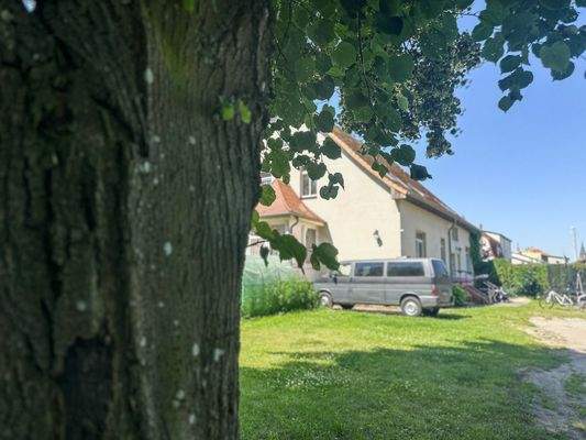 Die Umgebung ist gesäumt von alten Bäumen.