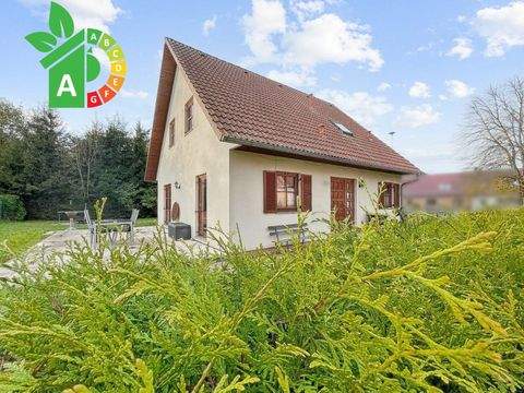 Dargun Häuser, Dargun Haus kaufen