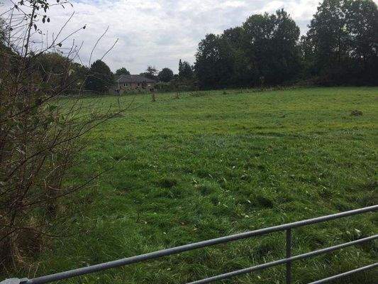 Blick auf das Grundstück