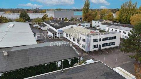 Hannover Halle, Hannover Hallenfläche