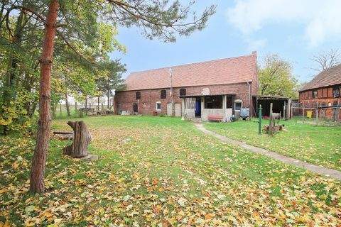 Elbe-Parey Häuser, Elbe-Parey Haus kaufen