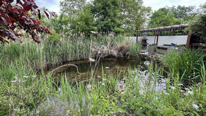 Gartenteich