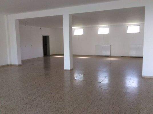 Blick in die Fläche