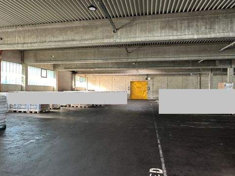 Röttenbach Halle, Röttenbach Hallenfläche