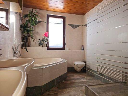 Modernes Tageslichtbad