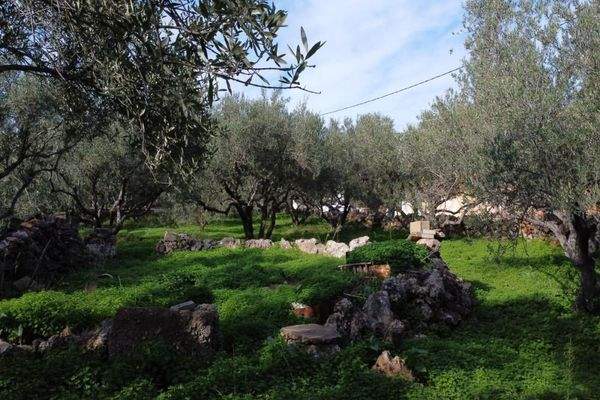 Kreta, Kokkino Chorio: Eckgrundstück in der Nähe des Dorfes und der Einkaufsmöglichkeiten zu verkaufen