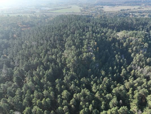 Luftaufnahme - Blick Richtung Süd-Westen