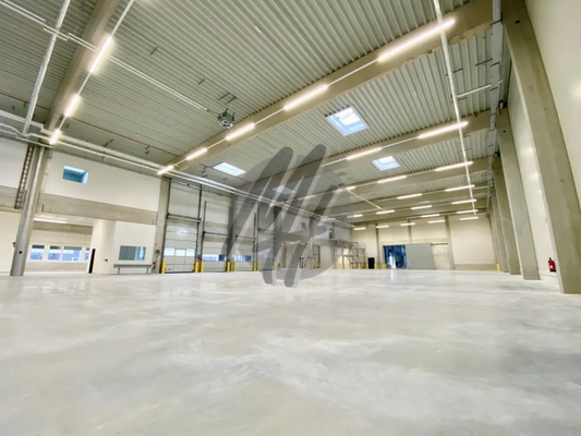 INFOS UNTER: 06171-586000