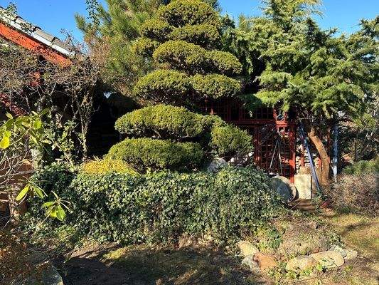 Haus-Grundstück 19.JPG