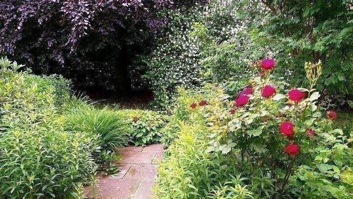 schönes Grundstück