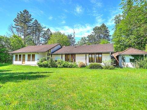 Planegg Häuser, Planegg Haus kaufen