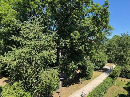 Ausblick von der Dachterrasse .jpg
