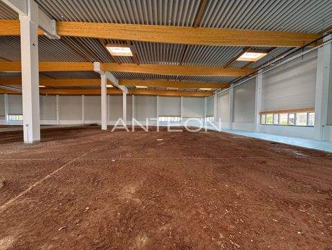 Düsseldorf Halle, Düsseldorf Hallenfläche