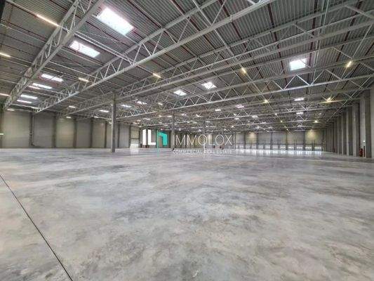 Telefon: 069 50699990