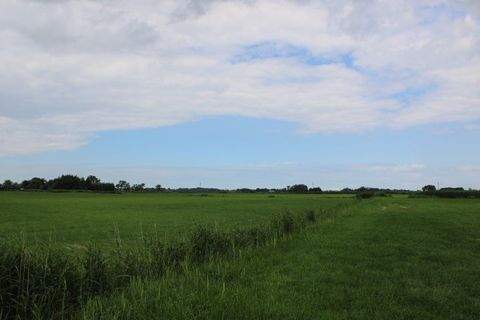 Butjadingen / Sillens Bauernhöfe, Landwirtschaft, Butjadingen / Sillens Forstwirtschaft